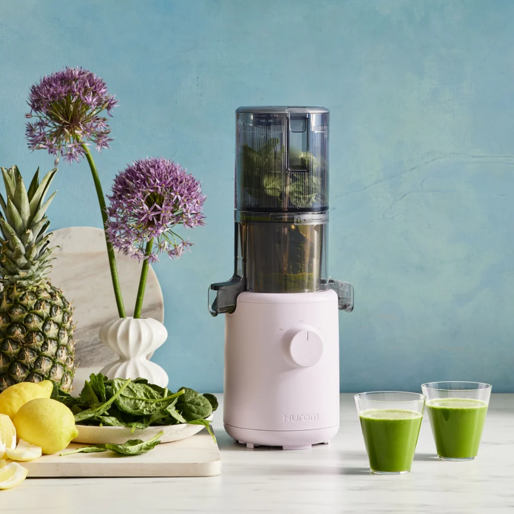 H310 Easy Clean Slow Juicer - Image 19