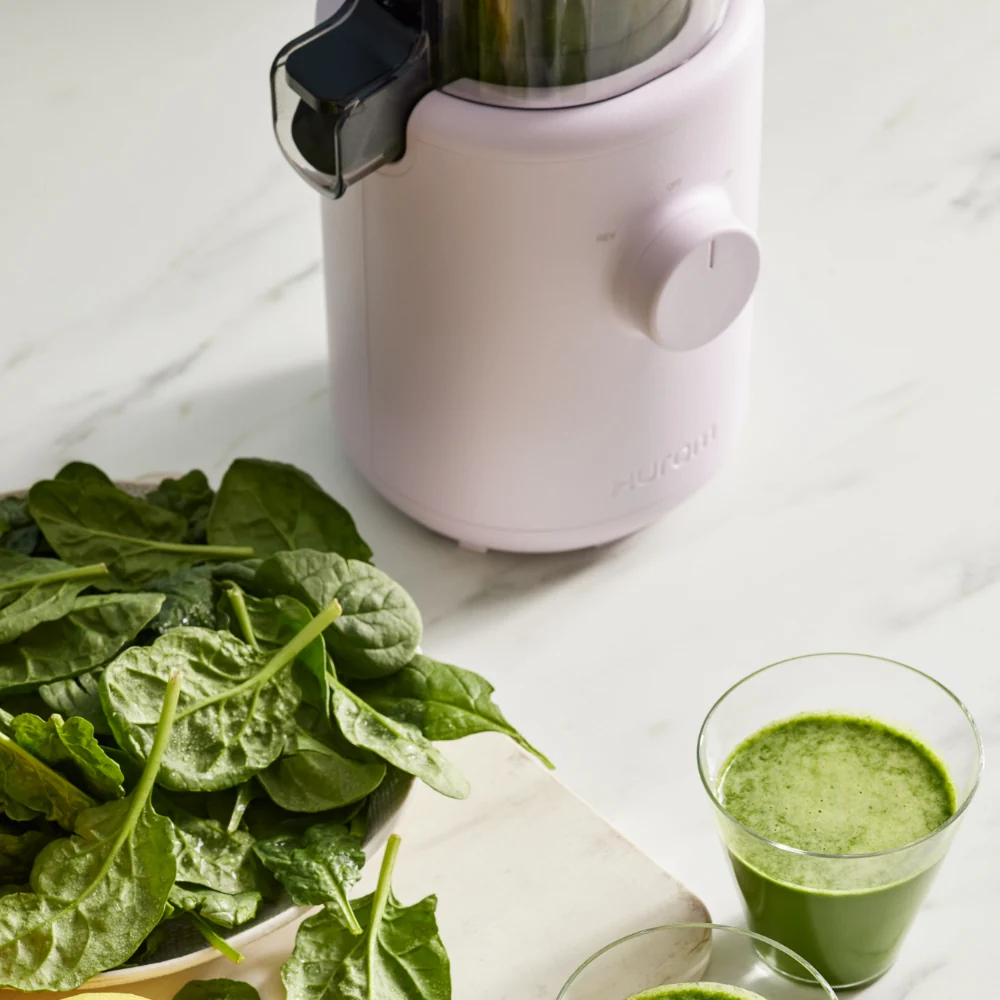 H310 Easy Clean Slow Juicer - Image 20