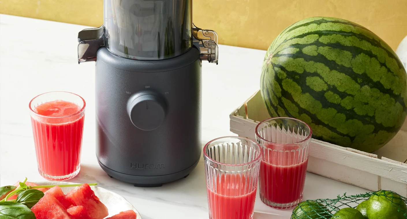 H310 Easy Clean Slow Juicer - Image 23