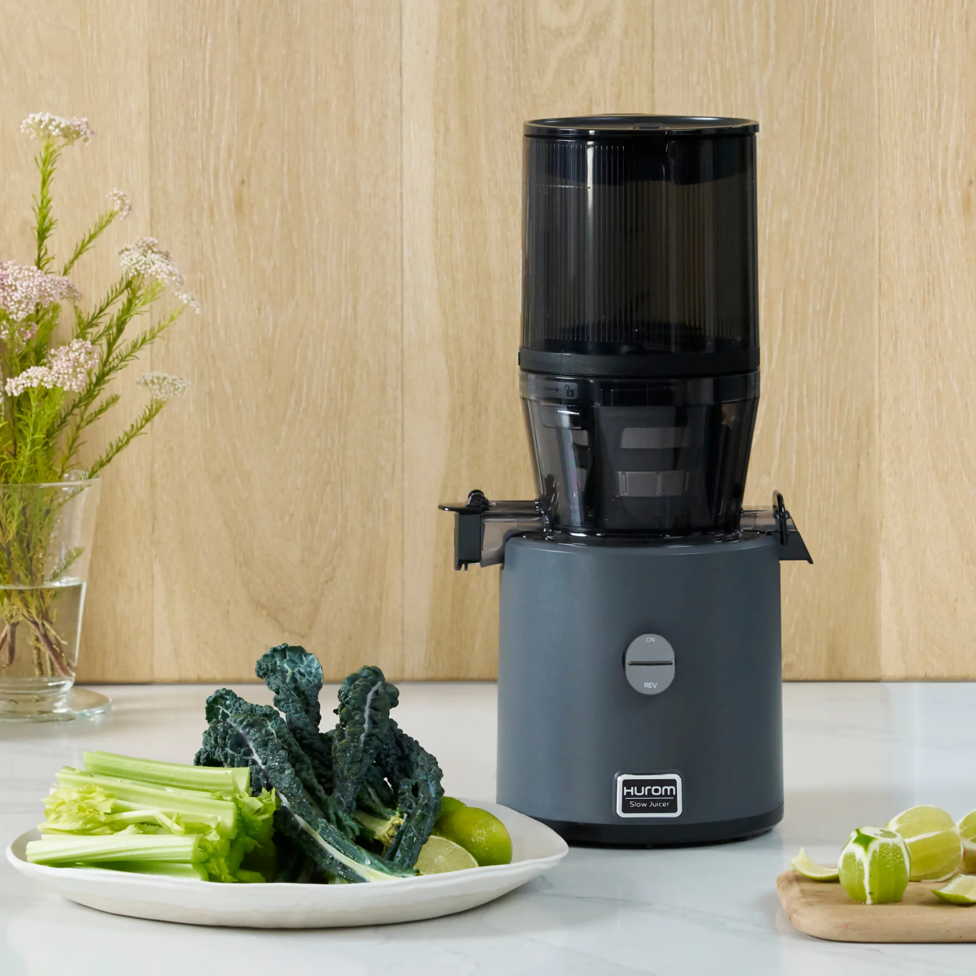 H330 Slow Juicer - Image 5