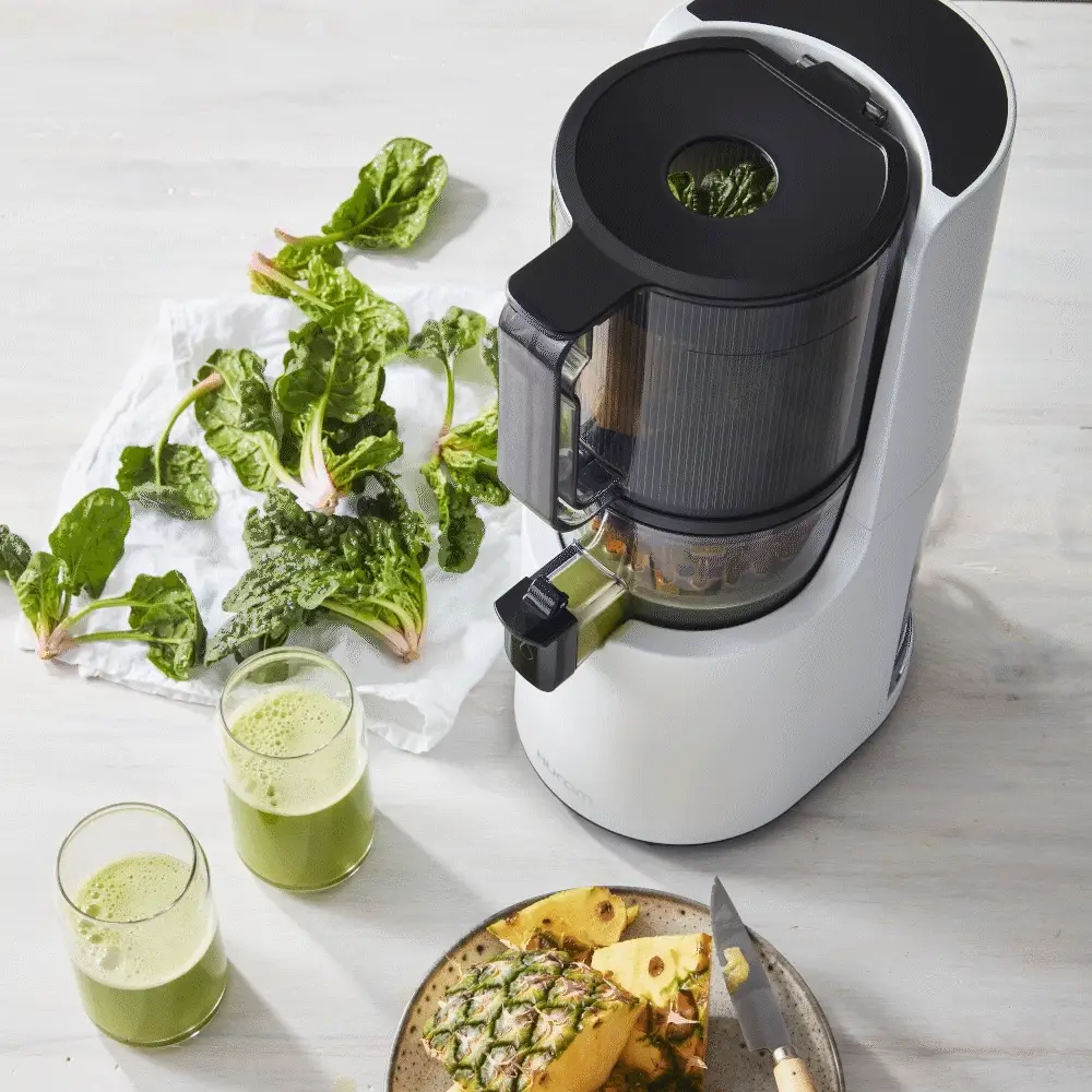 Refurbished H200 Easy Clean Slow Juicer - Image 17