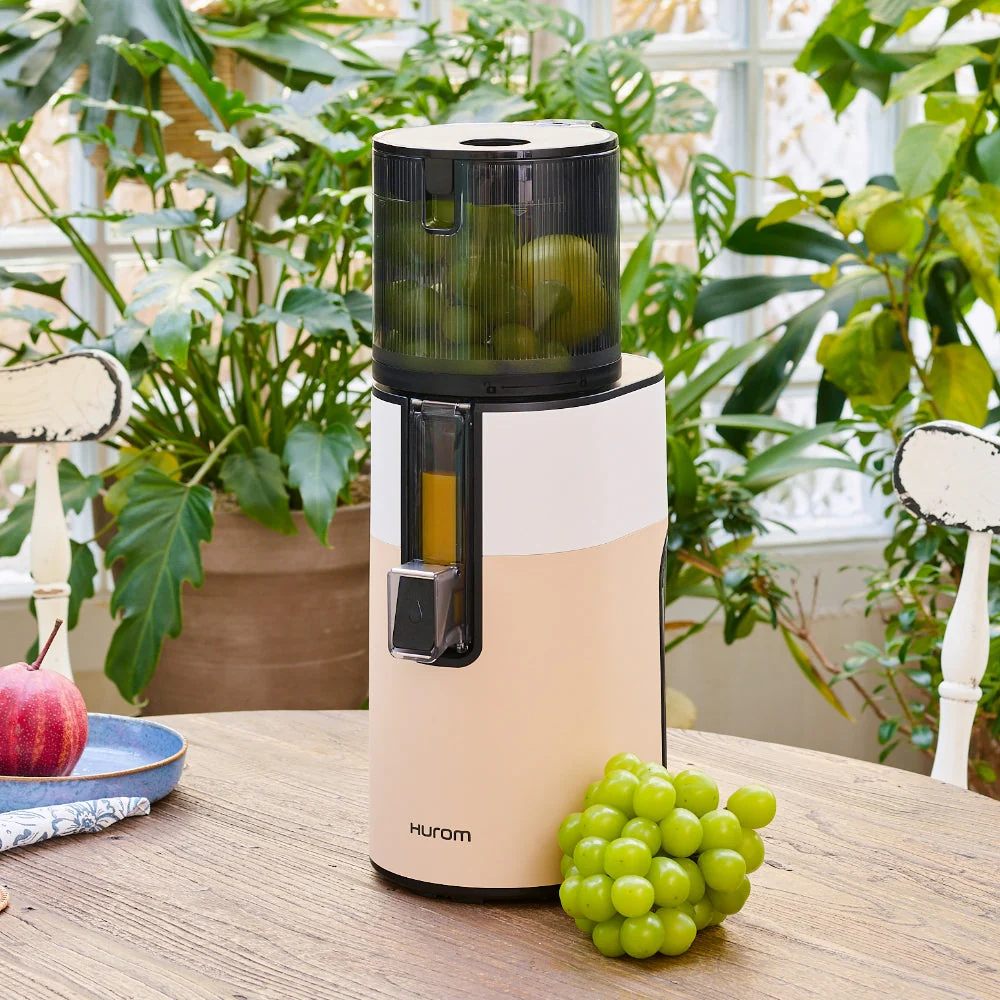 Refurbished H400 Easy Clean Slow Juicer - Image 27